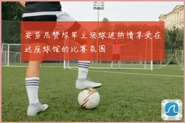 安芬尼赞绿军主场球迷热情享受在这座球馆的比赛氛围
