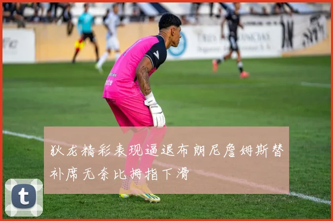 狄龙精彩表现逼退布朗尼詹姆斯替补席无奈比拇指下滑