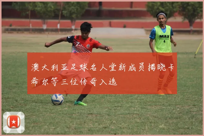 澳大利亚足球名人堂新成员揭晓卡希尔等三位传奇入选