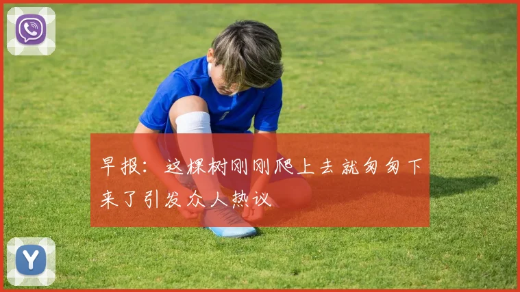 早报：这棵树刚刚爬上去就匆匆下来了引发众人热议