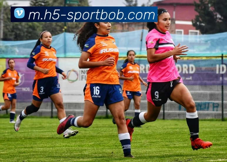 BOB体育品牌故事