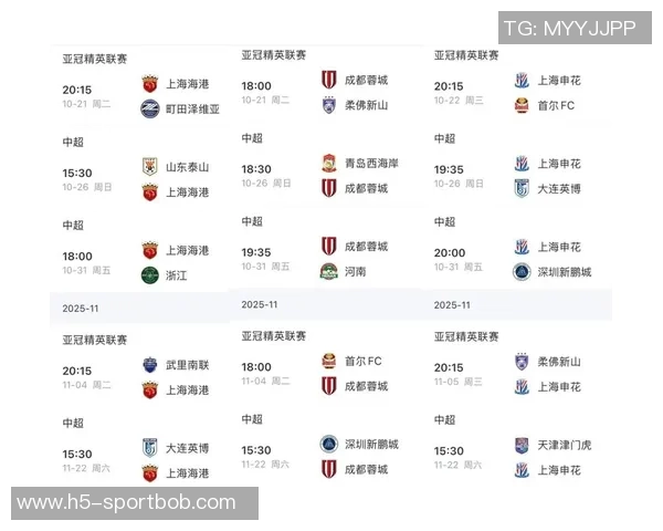 海港队2025中超联赛与亚冠精英联赛11月赛程全解析与展望